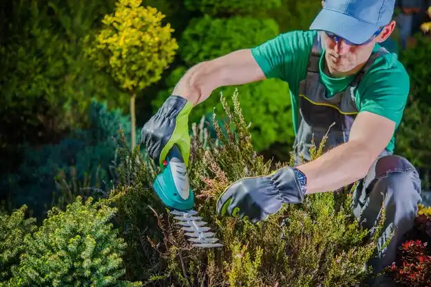 landscaping services Farwell